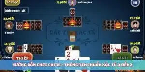 Hướng Dẫn Chơi Catte - Thông Tin Chuẩn Xác Từ A đến Z