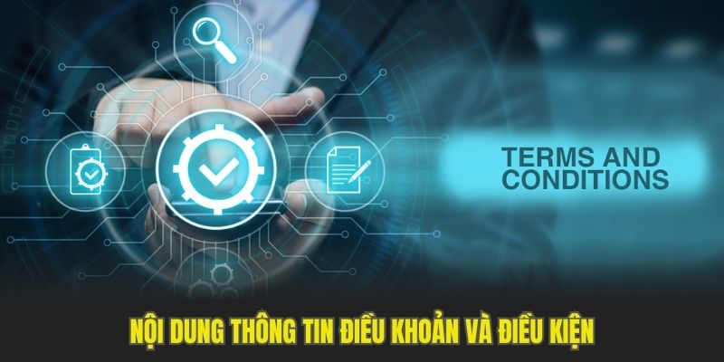 Nội dung thông tin điều khoản và điều kiện