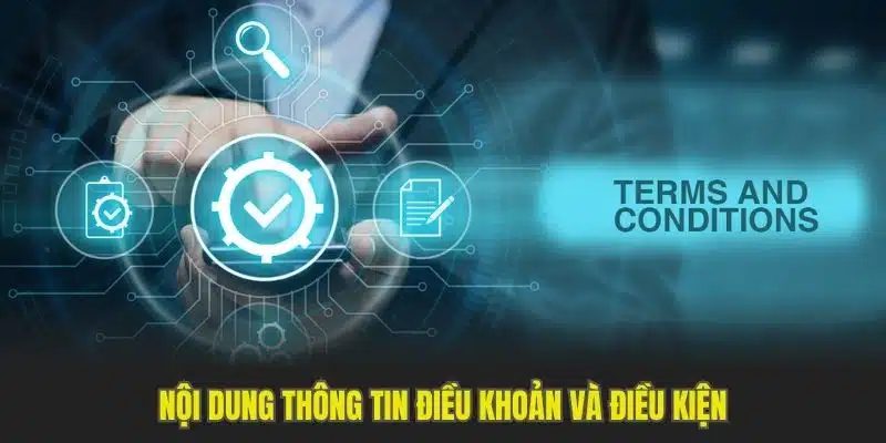 Nội dung thông tin điều khoản và điều kiện